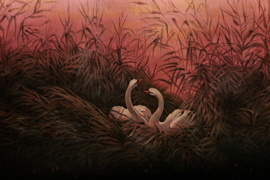 np-001-0W6A9859 2.jpg