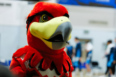 IMG_8520-Улучшено-Ум. шума.jpg