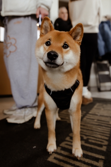 безымянный (120 из 148).jpg