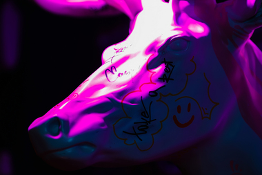 IMG_3434-Улучшено-Ум. шума.jpg