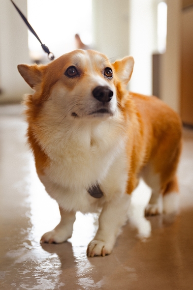 безымянный (109 из 148).jpg